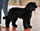 holly11 small