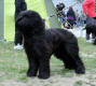 honey5 small