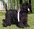 selectionne-francie2013 small