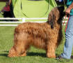 nemcice2014-emilly2 small
