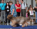 brno-27.6.2015-jacqueline-2 small