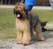 pamela 1 small
